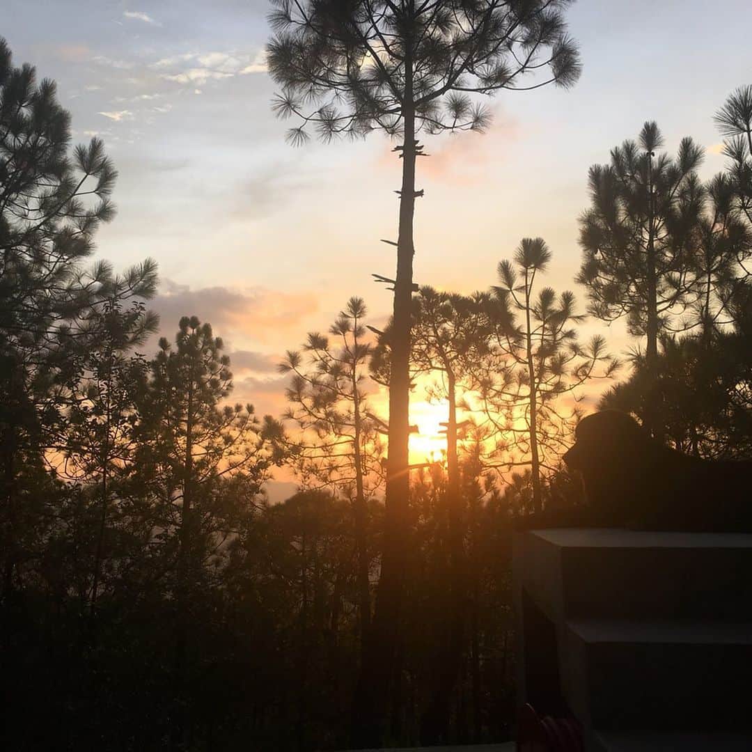 エヴァンジェリン・リリーさんのインスタグラム写真 - (エヴァンジェリン・リリーInstagram)「#Sunset stroll at dusk.  I met a young Kumaoni man who was out to watch the sunset, too. We sat together in silence.  It was beautiful.  #kumaon @the.kumaon #kumaonhotel #himilayas #india #dusk」8月5日 2時39分 - evangelinelillyofficial