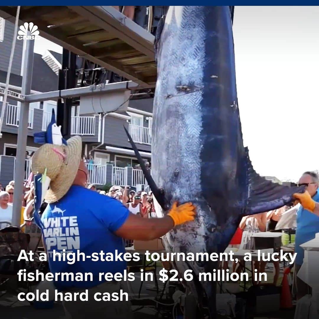 CNBCさんのインスタグラム写真 - (CNBCInstagram)「If it's hard to believe that one fish could be worth a mind-boggling $2.6 million, then you're probably not familiar with the high-stakes world of tournament sports fishing.⁠⠀ ⁠⠀ The White Marlin Open in Ocean City, Maryland, is the Super Bowl of competitive fishing. Hundreds participate every year. ⁠⠀ ⁠⠀ ⁠⠀ The prize money for last year's tournament ballooned to more than $5 million.⁠⠀ ⁠⠀ The competition is so cutthroat that organizers often subject winners to a lie detector test to ensure no rules were broken. Two years ago, the tests were used to strip one contestant of a $2.8 million prize.⁠⠀ ⁠⠀ This year's competition is set to kick off August 5. ⁠⠀ ⁠⠀ Learn more at the link in bio.」8月5日 3時18分 - cnbc
