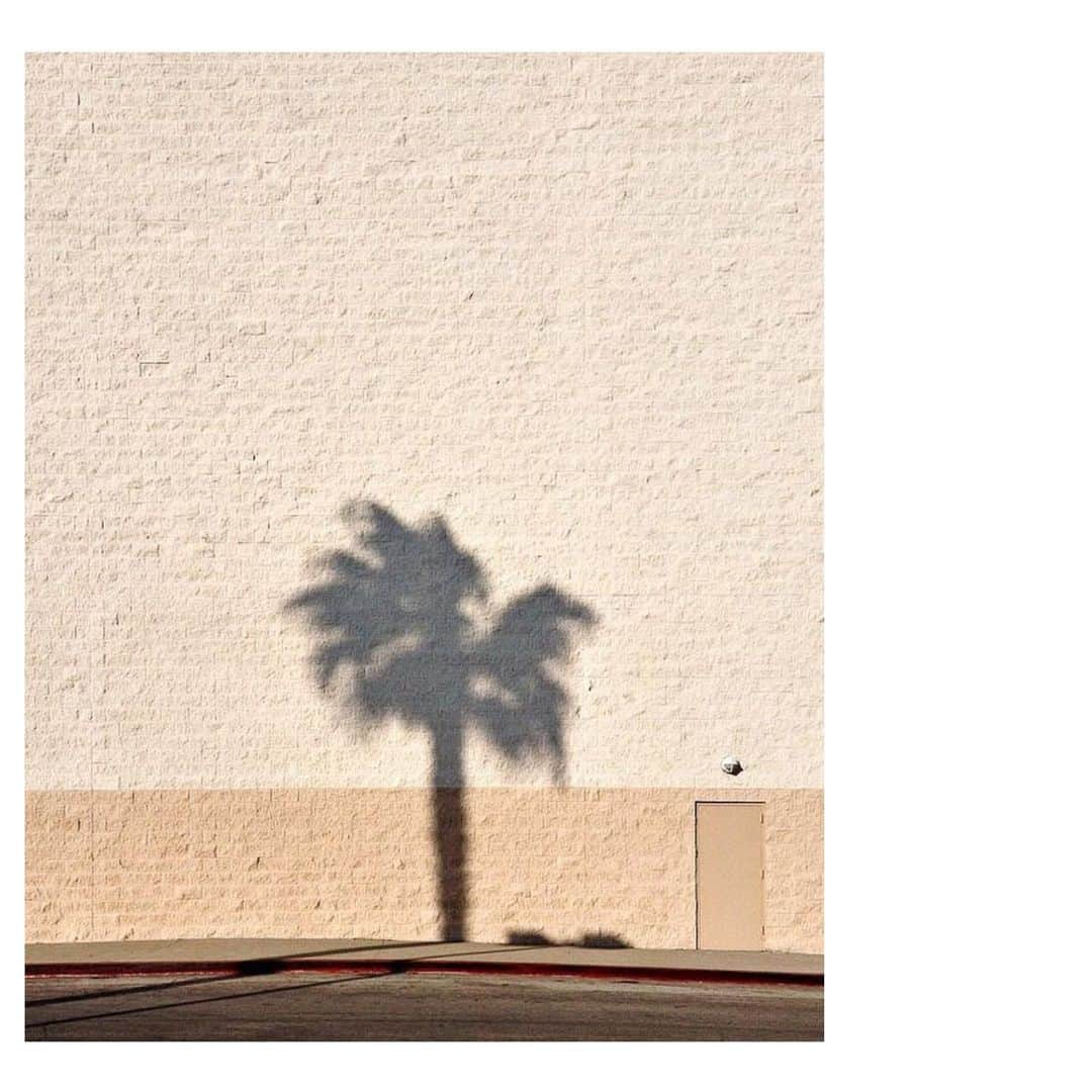 シューマッハさんのインスタグラム写真 - (シューマッハInstagram)「✨#Sundays #inspiration #dorotheesview #palmtrees #mood #sourceunknow #mood #vibes #daydreaming #takemethere #shadow ✨」8月5日 3時33分 - dorotheeschumacher