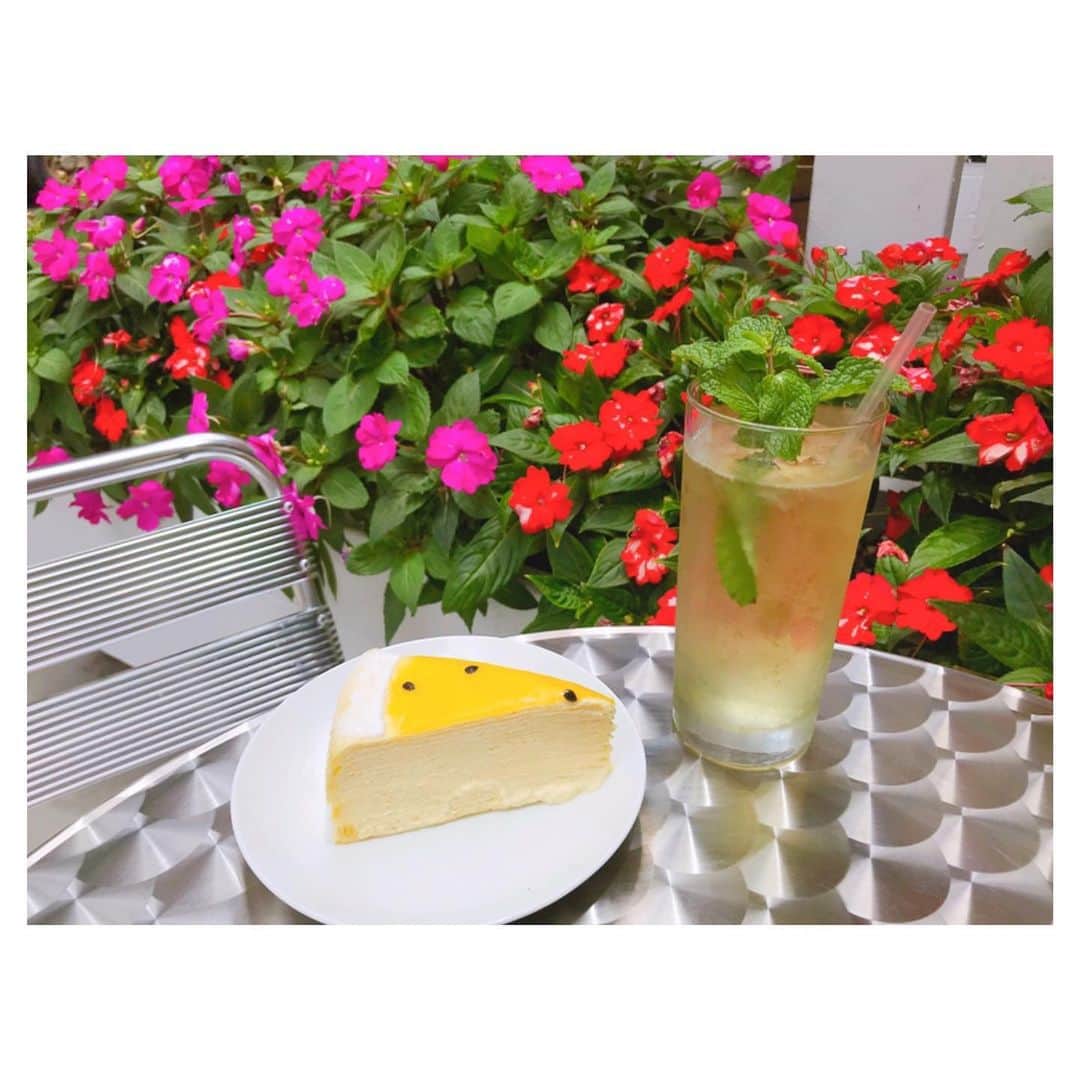 荒川れん子さんのインスタグラム写真 - (荒川れん子Instagram)「Lilikoi Mille Crepes, Waimanalo Mint Iced Tea and Rose Tea Latte😍 ワイキキ店ならではのローカル素材を使ったお茶やお土産もあります。もう〜、美味しすぎて子泣き爺化😝 . . #hawaii #aloha #lovehawaii #luckywelivehawaii #hawaiilife #LadyM #sweets #dessert #travel #foodie #lifeisajourney #hawaiistagram #cafe #instahawaii #ハワイ #オアフ #ハワイ生活 #ハワイ暮らし #ハワイ在住 #旅 #ハワイ好き #ハワイ旅行 #デザート #ケーキ #スイーツ #カフェ #ミルクレープ #ハワイおすすめ #撮影 #子泣き爺」8月5日 5時52分 - renren_hawaii