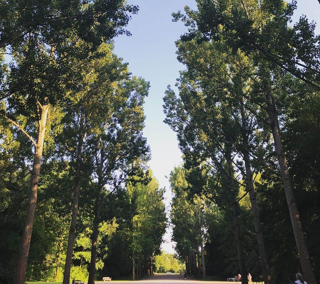 新倉瞳さんのインスタグラム写真 - (新倉瞳Instagram)「We had a beautiful walk after the rehearsal  リハーサル後にはワイマール市内と公園を散歩。  お天気にも恵まれて最高！  モルドバ出身の音楽祭公式の美女カメラマンのシェンディ(一つ前の投稿も彼女が撮ってくれた写真)とは同い年、優しくてハートが素敵な女性です。何かと気が合ってよく一緒に居ます☺️ ・ ・  #beautifulwalk #weimar #nature #green #beautifulfriend」8月5日 6時02分 - hitominiikura