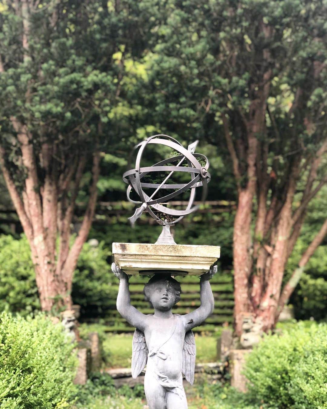 稲木ジョージのインスタグラム：「💫 👼」