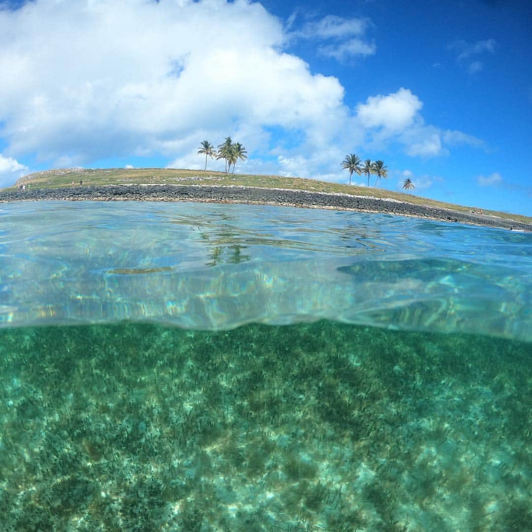 Yanna Lavigne 稲垣アンさんのインスタグラム写真 - (Yanna Lavigne 稲垣アンInstagram)「Conhecemos esse paraíso na terra que é Abrolhos. A beleza da dança das baleia Jubarte encantam! PRESERVAR TAMBÉM É RENDA. Preservando mais nossas belezas naturais, investindo em ecoturismo e sustentabilidade também é uma forma de gerar empregos e aquecer a economia #ecoturismo “Presidente do Ibama rejeita análise e autoriza leilão próximo a Abrolhos. Eduardo Fortunato Bim autorizou a exploração de petróleo numa região que compreende área de 32 mil km² de água rasa, com recifes de coral e manguezais” Infelizmente todas as vidas marinhas que conhecemos na região estão ameaçadas pelas 13 plataformas de petróleo que atuam nas redondezas. Basta um vazamento pra esse paraíso deixar de existir. Então corra! Pq as plataformas tem mais garantias que o arquipélago. Não podemos deixar isso acontecer de braços cruzados!! #naomateabrolhos compartilhe!! #leilaofossilnao #salveabrolhosdopetroleo Assine a petição e vamos fazer a diferença, link nos stories!!」8月5日 7時07分 - yannalavigne