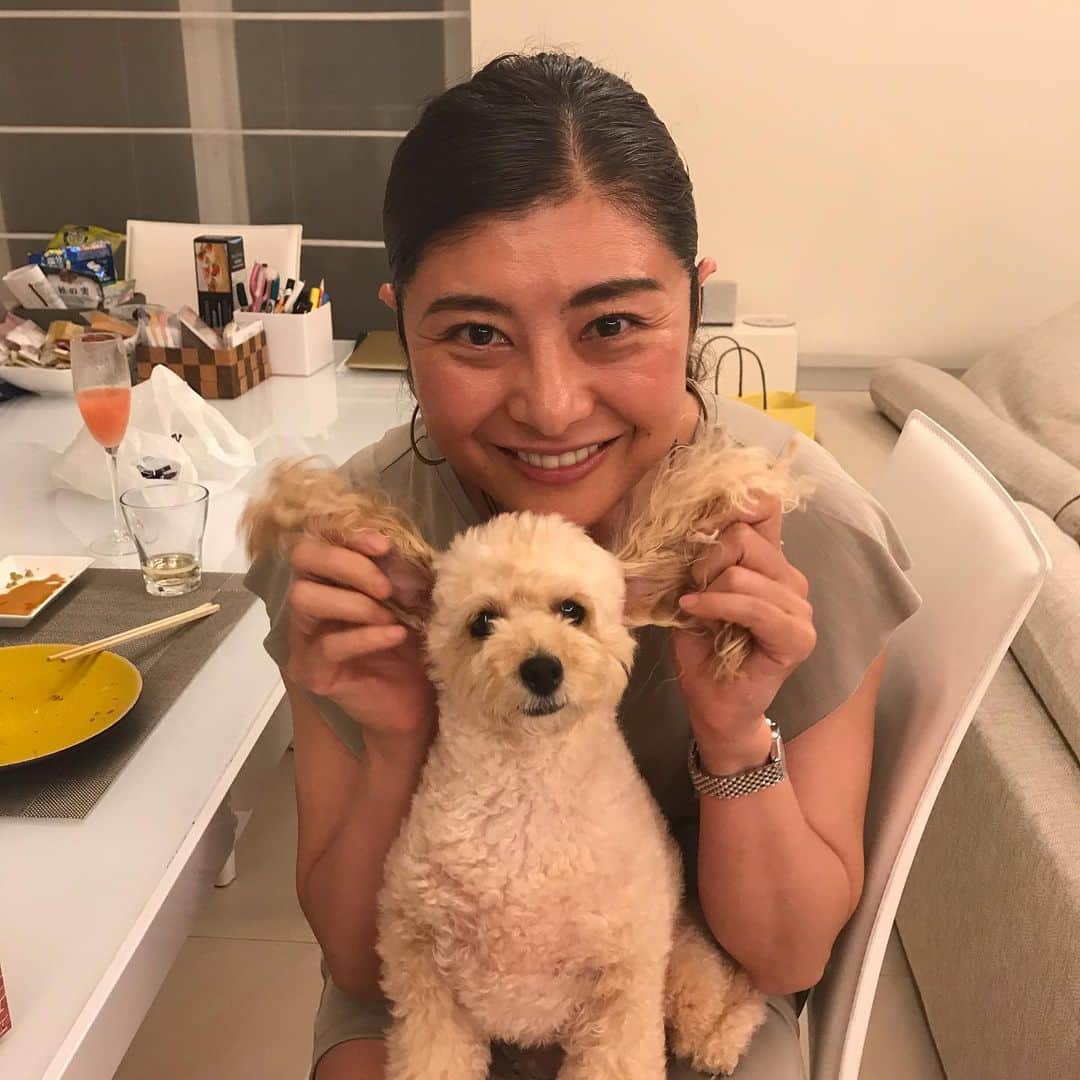 間々田佳子のインスタグラム：「かわゆい💕‼️ トイちゃんに遊んでもらい オキシトシンが増えました  オキシトシンはストレスを抑制する働きがあります。  私はストレスありませんが… 癒されます💕  #間々田佳子 #セロトニントレーナー #セロトニン分泌 #オキシトシン大放出  #犬好きな人と繋がりたい  #トイプードル」