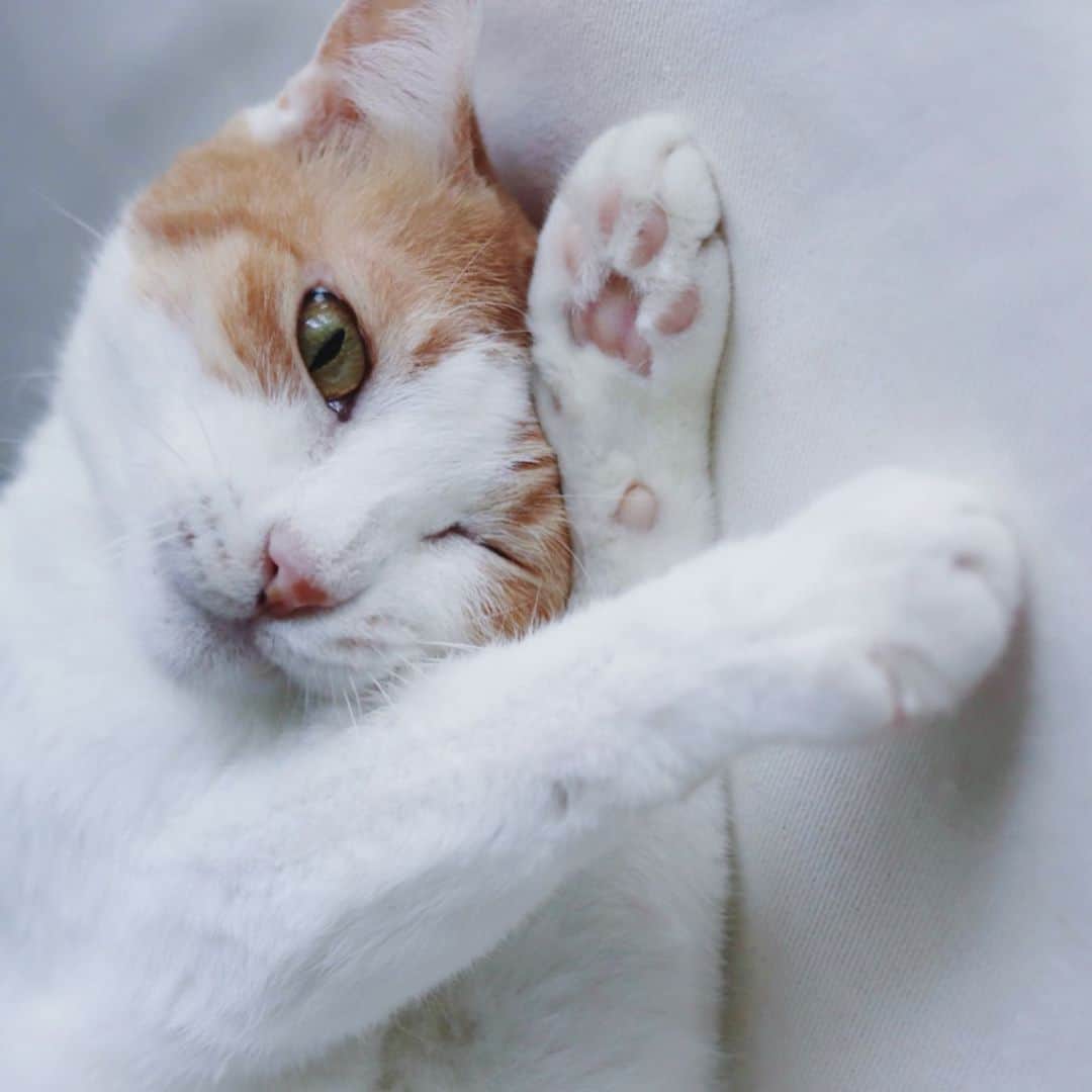 rei_nyanzのインスタグラム