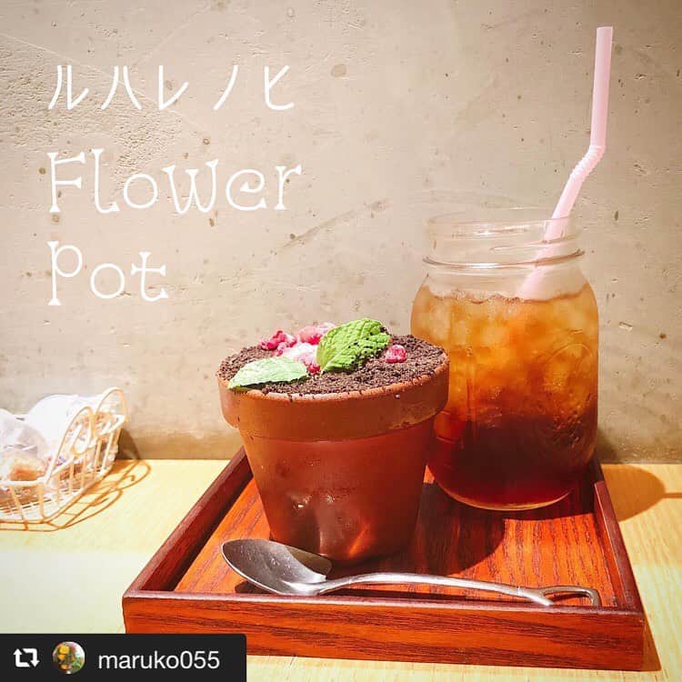ハレノヒのインスタグラム