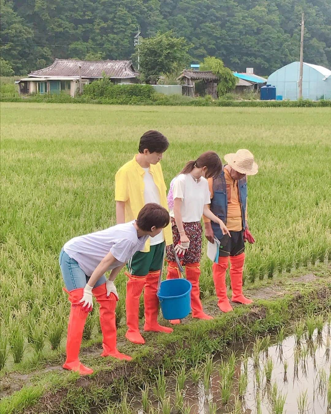 パク・シウンさんのインスタグラム写真 - (パク・シウンInstagram)「흔한? 시골풍경😆ㅋㅋㅋ 논에 우렁이 엄청많아요~😱 우렁이알 구경중인 서울사람들~😁💕 . . #모두다쿵따리 #쿵따리식구들 #오늘도쿵따리 #주중은쿵따리 🤣」8月5日 8時32分 - si_eun_0