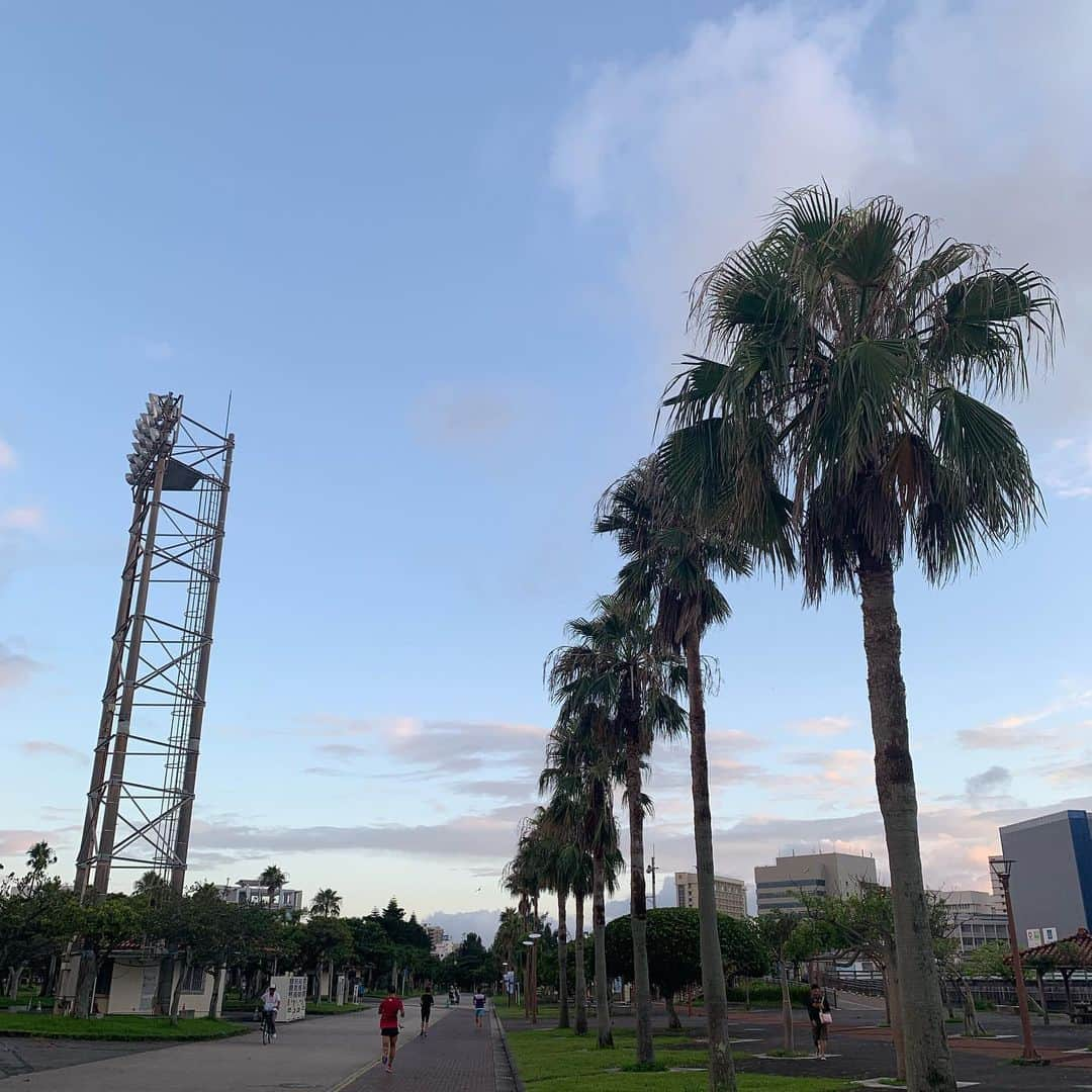 澤野大地さんのインスタグラム写真 - (澤野大地Instagram)「今朝は早朝トレーニング。ジョックしてる長距離の選手がたくさんいた。いい朝。 #okinawa #training #早朝しか時間ない」8月5日 8時50分 - daichisawano