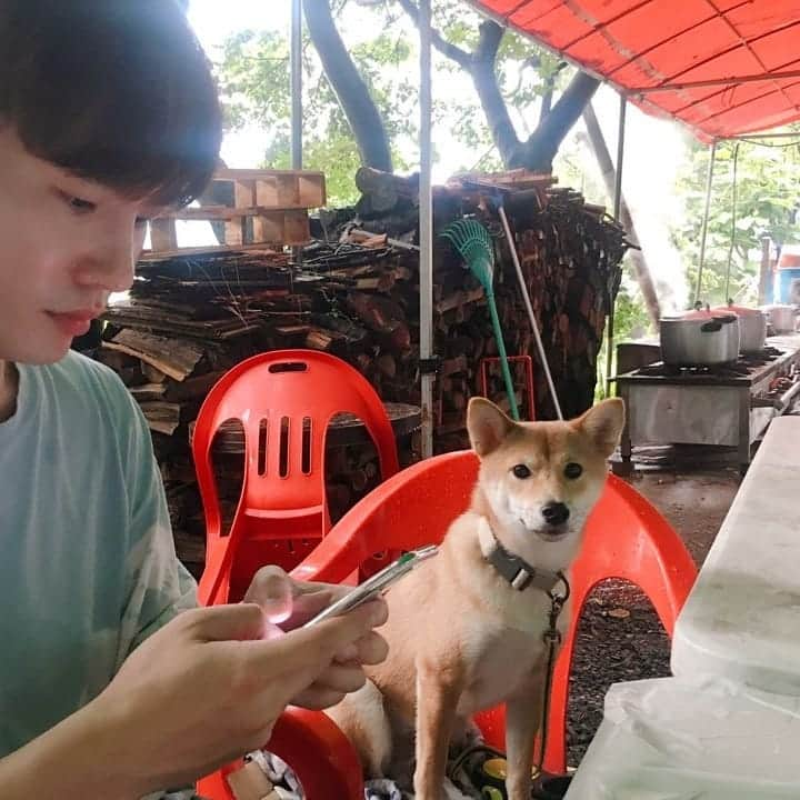 ヤン・ジウォンさんのインスタグラム写真 - (ヤン・ジウォンInstagram)「오랜친구가 좋은 이유💙  feat.굶느라 고생한 호일이ㅜㅜ  #백숙 #흙탕물계곡 #홍수 #패기 #편안함 #웃음 #힐링 #우리는코미디다 #종문이잘있지 #동갑내기 #십년지기」8月5日 8時58分 - wldnjs62