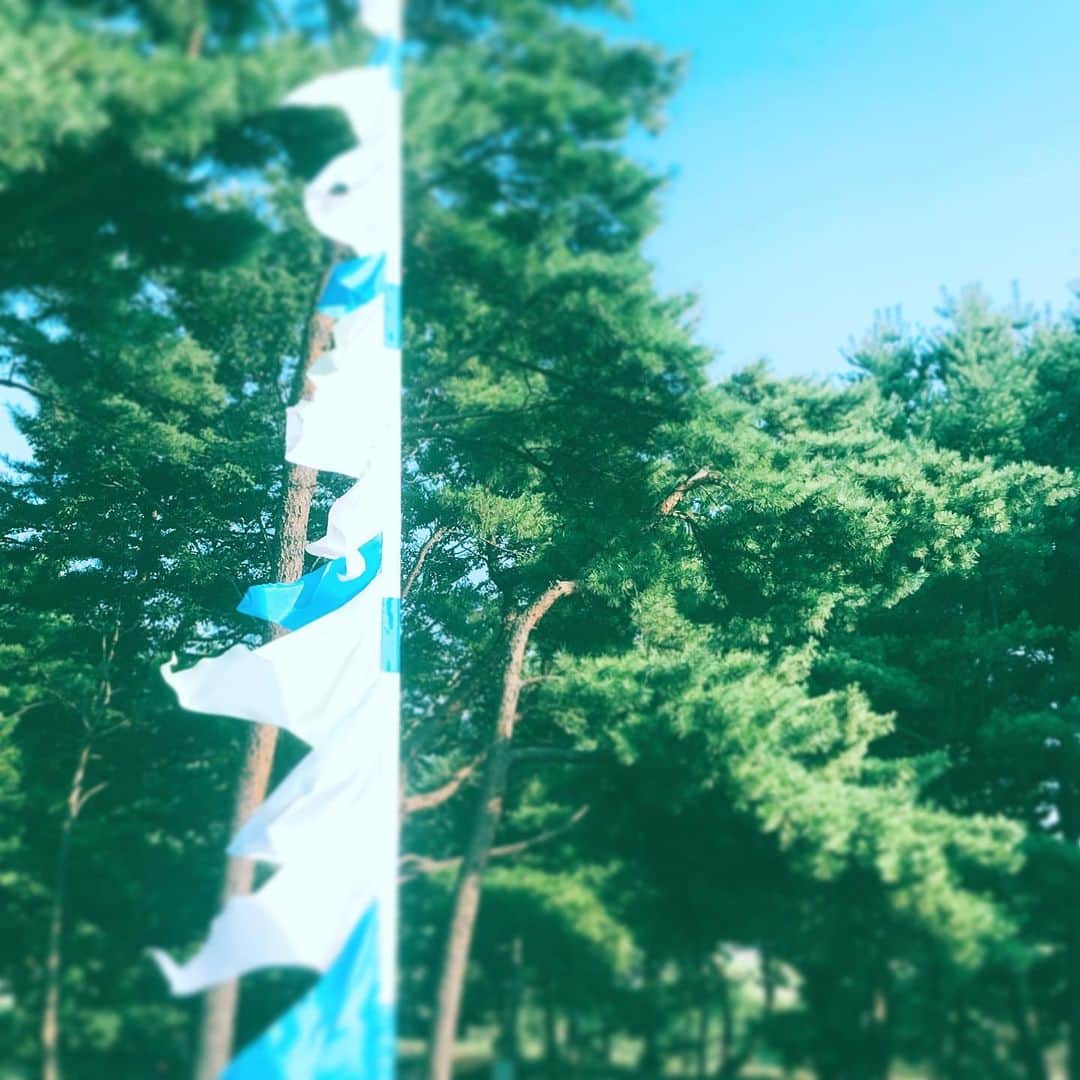 中野敬久さんのインスタグラム写真 - (中野敬久Instagram)「#rijf #rijf2019 #flags #hitachinaka #ibaraki」8月5日 9時26分 - hirohisanakano