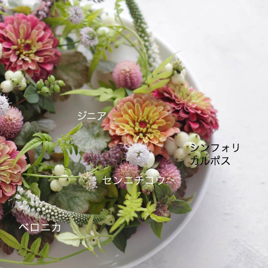 雑誌『花時間』さんのインスタグラム写真 - (雑誌『花時間』Instagram)「おはようございます。何種類かのお花を買うとき、どんなふうに選んでいますか？ 「色」でまず考える？「形」も揃えてみませんか？  このリースで選んだおもな花材は「まあるい形」。ジニアとセンニチコウ、それに白い実もののシンフォリカルポス。ほら、どれもまん丸！  だから、かわいいなぁって思えるんです。花選びに悩んだら、「形をおそろ」に✌️ 間を取り持つ細かな花材も選べば、丸々ちゃん同士でもトゲトゲちゃんトリオでも？上手にまとまりますよー。以上、本日は「花合わせは楽しい」の巻でしたー。皆さんも花屋さんに行きましょうね！では、今週も元気smile😊😊😊で頑張りましょう🍉🌻🍧 by ピーターパン  花 @shopffplantule  写真 @落合里美  #flowers #flowerslovers #flowerstagram #flowerarrangement #colorful #花時間 #花時間201９ #花好き #花藝 #花好きな人と繋がりたい #花が好きな人と繋がりたい #花のある生活 #花のある暮らし #zinnia  #ジニア #センニチコウ #シンフォリカルポス #夏の花 #テーブルリース  #かわいい花 #ピンクの花が好き #草花が好き #花を飾る #花を飾る生活  #wreath #botanicallife  #花屋さんへ行こう」8月5日 9時34分 - hanajikan_magazine
