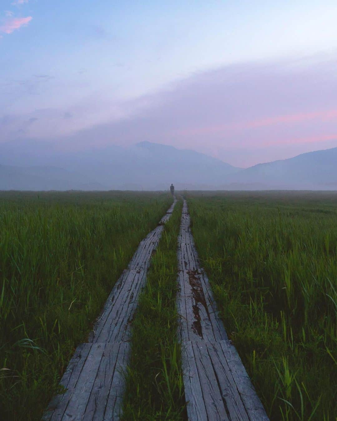 masayaさんのインスタグラム写真 - (masayaInstagram)「Ozegahara at dusk 夕暮れの尾瀬ヶ原 #marsh #尾瀬 #尾瀬ヶ原 #sunset #福島県#fukushima #Japan」8月5日 20時27分 - moonlightice