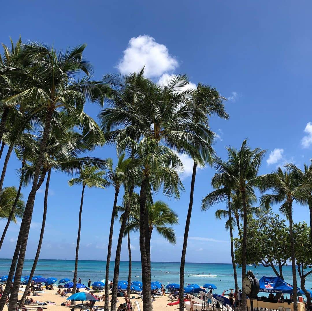 芝本裕子さんのインスタグラム写真 - (芝本裕子Instagram)「ハワイの景色🌴 今すぐにでも戻りたい… で、それはそうと、ハワイにいる間、体重にはほぼ変動がなかったのですが、帰って来てからというもの、日本のこの蒸し暑さで、動きもスローリーになるし、クーラー嫌いですが、どうしてもクーラーの中からでれず…完全なる運動不足なのか、体重が増えてしまった…しかも多分今妊婦以来の過去最高記録かも😂体重だけが全てではないけど、目安としてマイナス3キロはしたいな… @clearashiya の @coach_naoki 先生と頑張りたいと思います！！！ #自分自身を追い込むために #宣言してみた 😂 #ダイエット #3キロ #夏の間に… #shiba_u」8月5日 20時29分 - yukoshibamoto