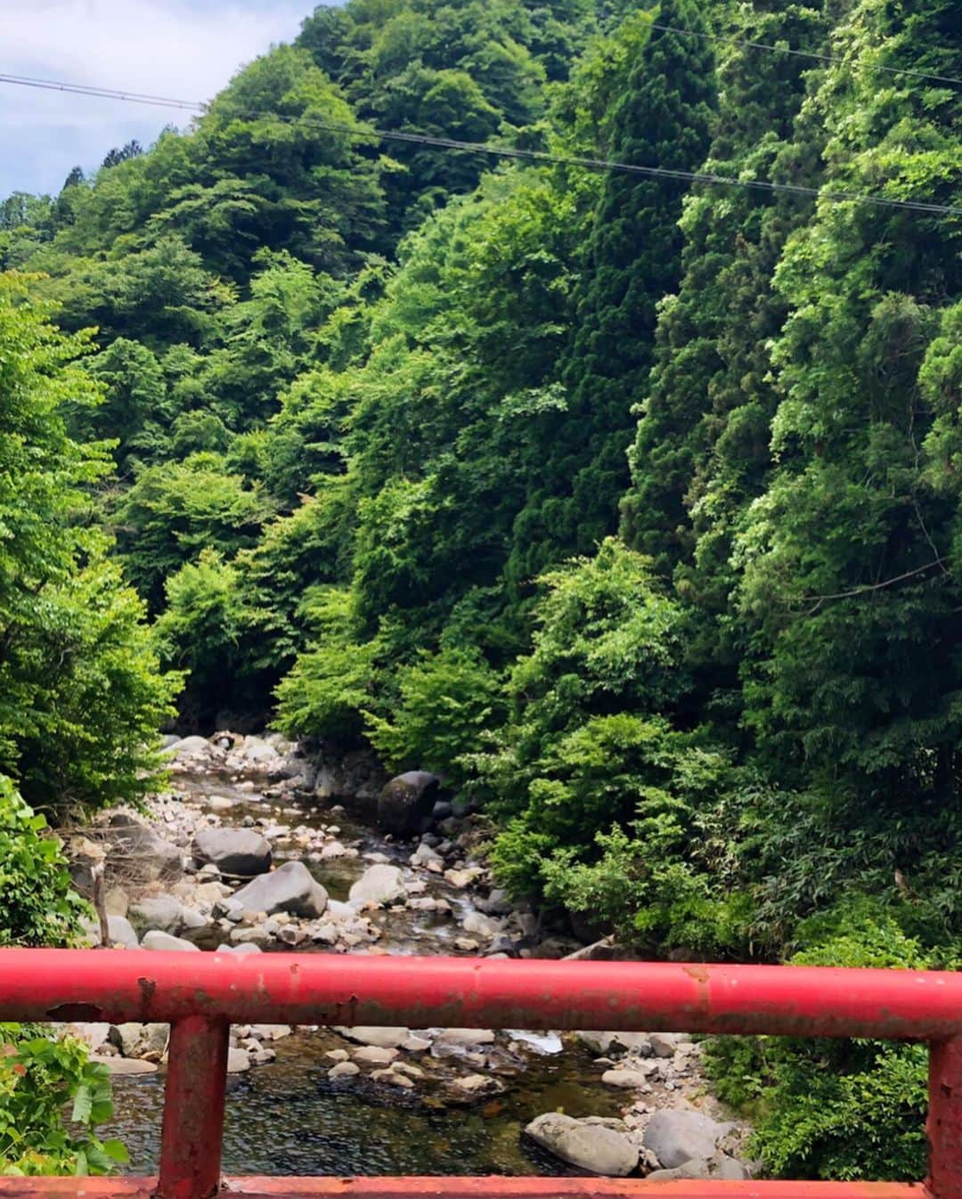 神田藍香さんのインスタグラム写真 - (神田藍香Instagram)「流しそうめんをしに﻿ 岐阜までプチ旅行☀️💘﻿ ﻿ 自然の中でやる流しそうめんは格別😋﻿ ﻿ ﻿ ﻿ ﻿ #summer#soumen#happy#enjoy #trip#travel#holiday#natural #lunch#travelJapan#l4l#tagsforlike #likeforlikes#流しそうめん#自然 #あみだが滝荘流しそうめん  #夏#そうめん#自然遊び#休日#のんびり #マイナスイオン#郡上市#阿弥陀が滝 #日本の滝100選#名水#流しそうめん発祥の地」8月5日 11時34分 - kaatan0522