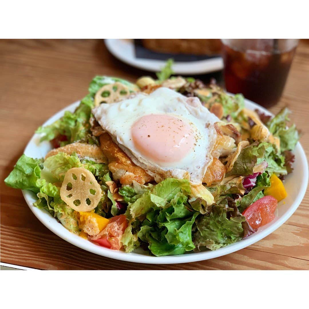 中田奈沙さんのインスタグラム写真 - (中田奈沙Instagram)「Lunch🍴 @madison_newyork_kitchen 《MADISON NEW YORK KITCHEN》 でランチ🤗 デザートもね🍰 * #奈沙ログ #奈沙ログin恵比寿 * * #madisonnewyorkkitchen #cafe #ebisu #tokyo #japan #lunch #salad #cobbsalad #healthyfood #cheesecake #instafood #foodie #foodgasm #foodporn #foodpic #foodstagram #gourmet #マディソンニューヨークキッチン #カフェ #恵比寿 #東京 #ランチ #コブサラダ #サラダランチ #ケーキ #チーズケーキ #グルメ #ヘルシー」8月5日 11時37分 - nasa_nakada