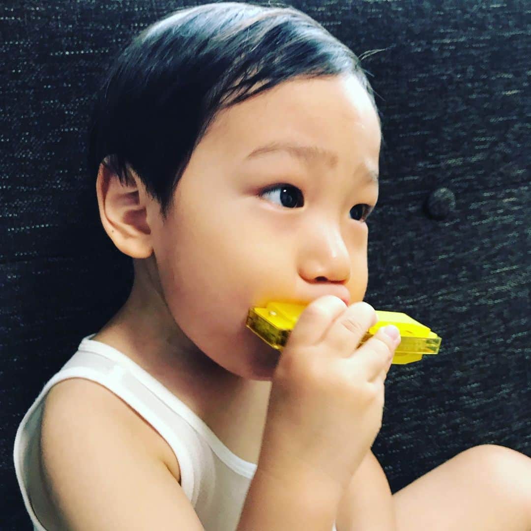 川原洋二さんのインスタグラム写真 - (川原洋二Instagram)「ハーモニカを買いました。息子さん上機嫌🎶 赤色はお母さん、黄色は息子さん。 のものだそうです。お父さんは今度青色を買いに行きます。 #ハーモニカ #息子上機嫌」8月5日 12時05分 - yohji_kawahara