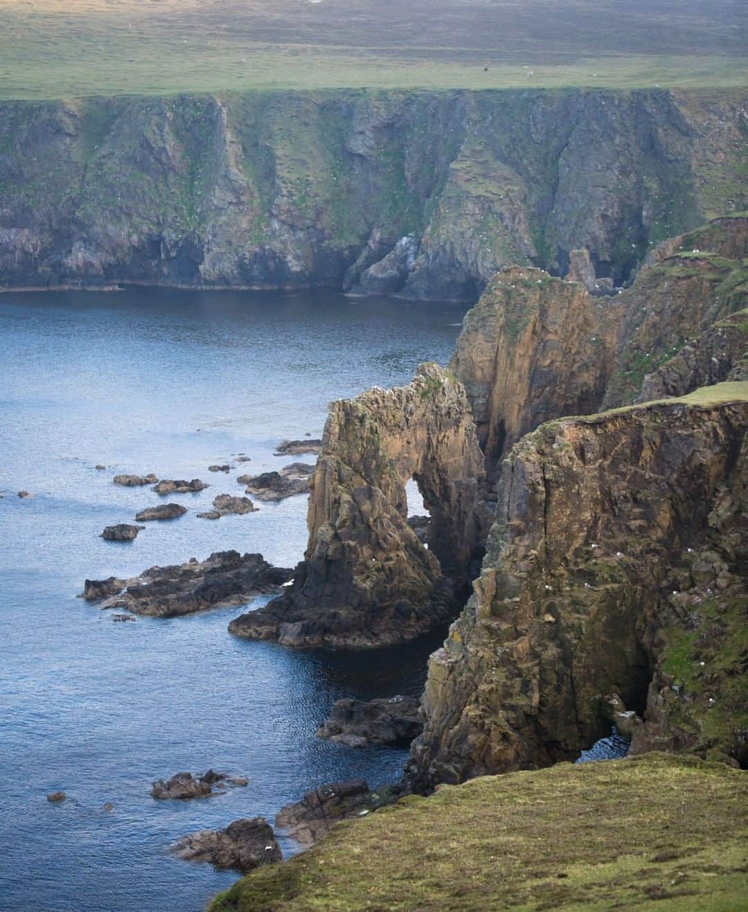 National Geographic Travelさんのインスタグラム写真 - (National Geographic TravelInstagram)「Photo by @acacia.johnson | The cliffs of Fair Isle, the most remote inhabited island in the United Kingdom. Located between Shetland and Orkney in northern Scotland, this lush pastoral island is best known for its unique style of knitting, and for its rich bird life. Follow me at @acacia.johnson for more images from around the world. #fairisle #scotland」8月5日 13時04分 - natgeotravel