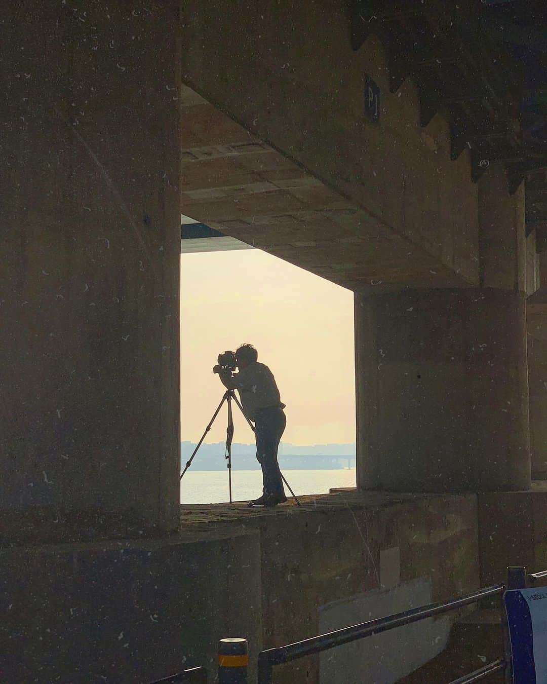 アンジェリーナ・ダニロヴァさんのインスタグラム写真 - (アンジェリーナ・ダニロヴァInstagram)「Just some under bridge Hanriver moments.📷」8月5日 13時35分 - angelinadanilova