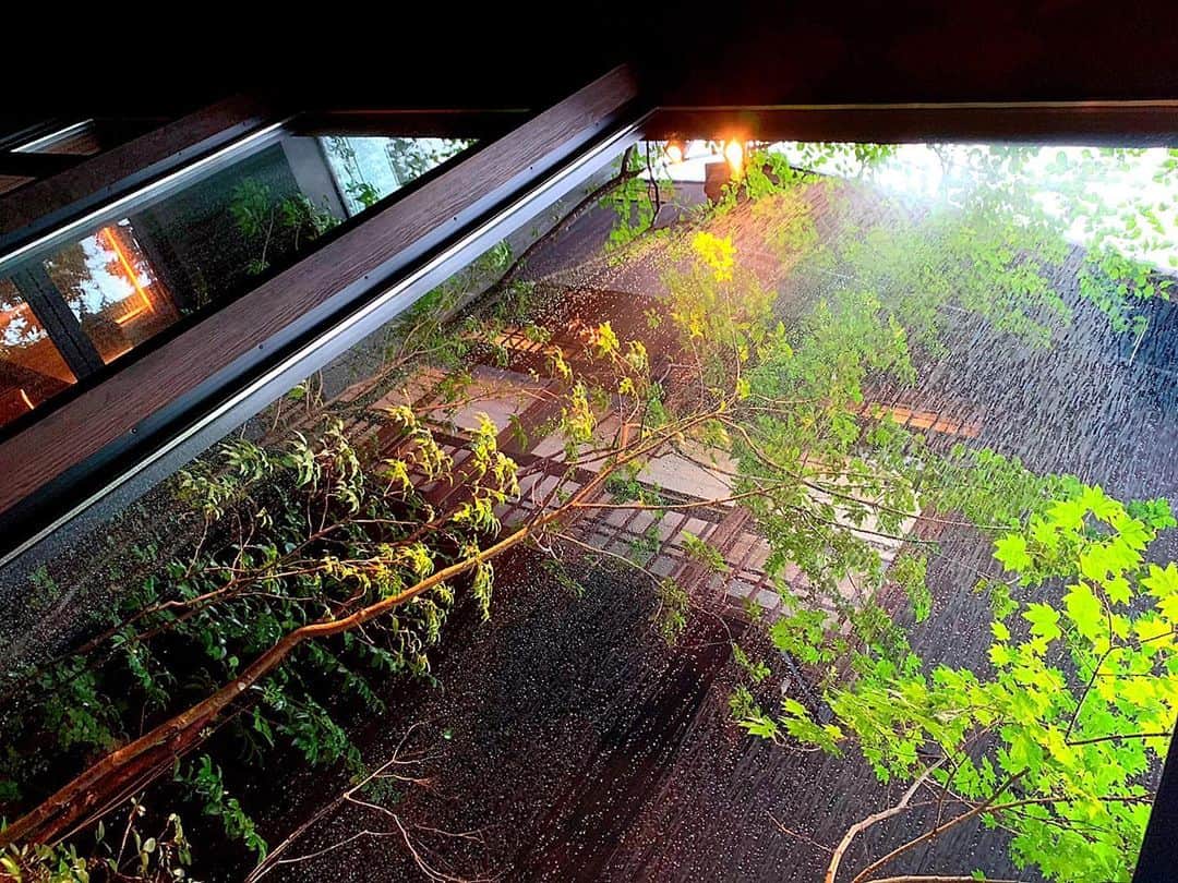 百合華さんのインスタグラム写真 - (百合華Instagram)「西麻布の創作日本料理の名店ラ・ボンバンスの京都店『La BOMBANCE 祇園』にて、とっても大きな窓からシトシトと降り続く雨の景色を眺めながらのディナータイム🎶﻿ ﻿ 夕暮れ時は風情のある中庭の緑達がライトアップされ、雨のおかげでまるで艶やかで美しい風景画のようでした✨﻿ ﻿ そして、なんとたまたまこの日は土用の丑の日だったので３回も楽しめる締めのひつまぶしが主役の日❤️﻿ ﻿ #京都 ﻿ #東山 ﻿ #祇園 ﻿ #ミシュラン ﻿ #ミシュラン掲載店 ﻿ #ラボンバンス ﻿ #ラボンバンス祇園 ﻿ #labombance ﻿ #LaBOMBANCE祇園 ﻿ #日本料理 ﻿ #創作料理 ﻿ #ディナータイム ﻿ #雨の日﻿ #風情﻿ #土用の丑の日﻿ #ひつまぶし」8月5日 13時55分 - yurika.lovelily