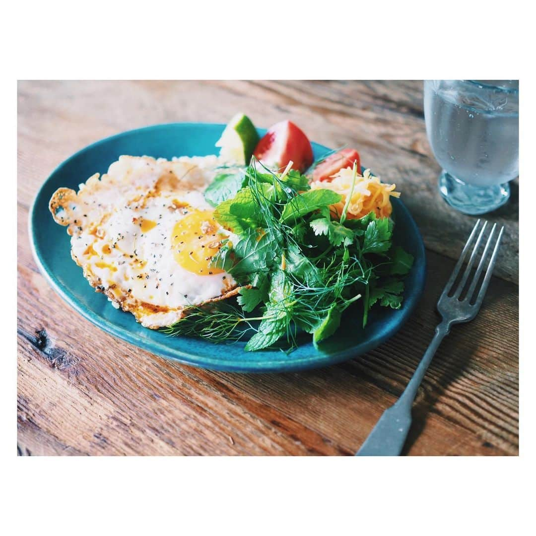 高山都さんのインスタグラム写真 - (高山都Instagram)「ベトナム料理って、ハーブたくさん食べるせいか、次の日調子がいい。 だから、ハーブ色々買ってみた。 あっつい月曜の午後、簡単すぎる自分のお昼ごはん。 ごま油で目玉焼きを黄身とろーん状態に、白身のまわりにぐるっとナンプラー、端っこカリカリにして、玄米に乗せる。 ミント、パクチー、ディルを添えて、ライムをぎゅっと絞って、仕上げはチリオイル。 玉子を崩して、ハーブも一緒にいただきます。 #みやれゴハン」8月5日 14時28分 - miyare38