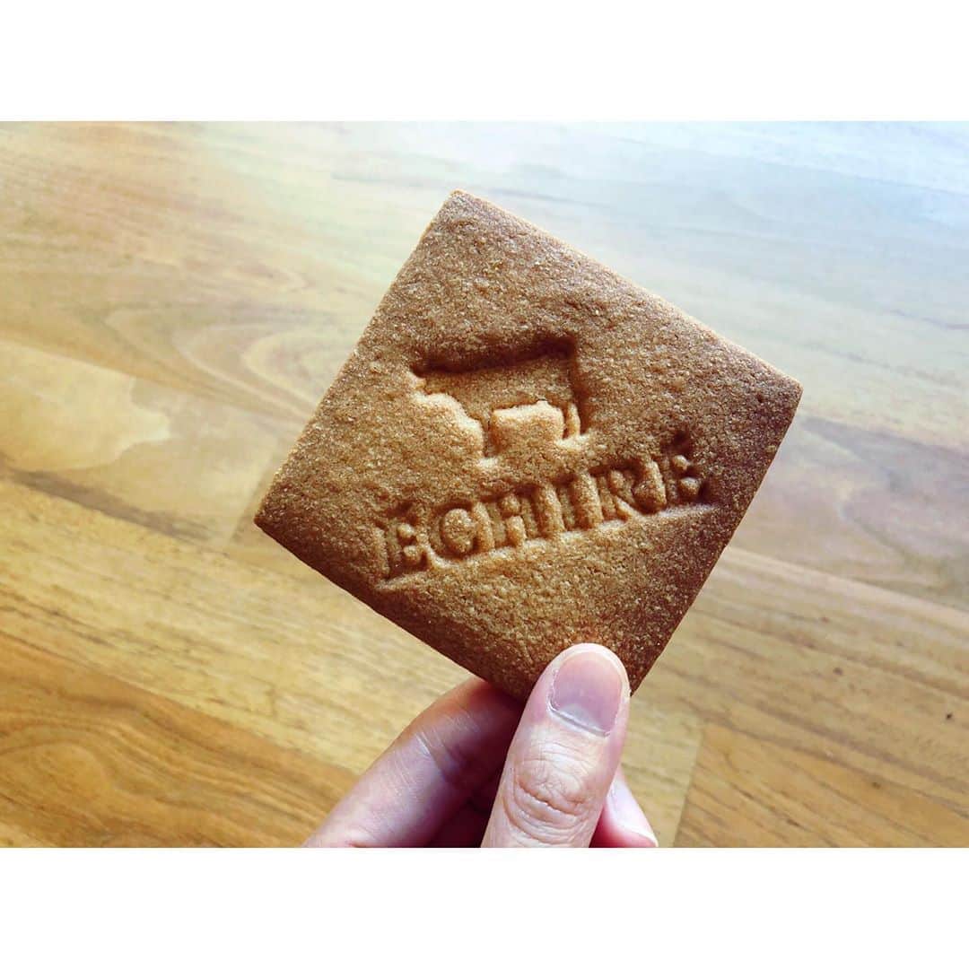 のインスタグラム：「すき♡ #🐄」