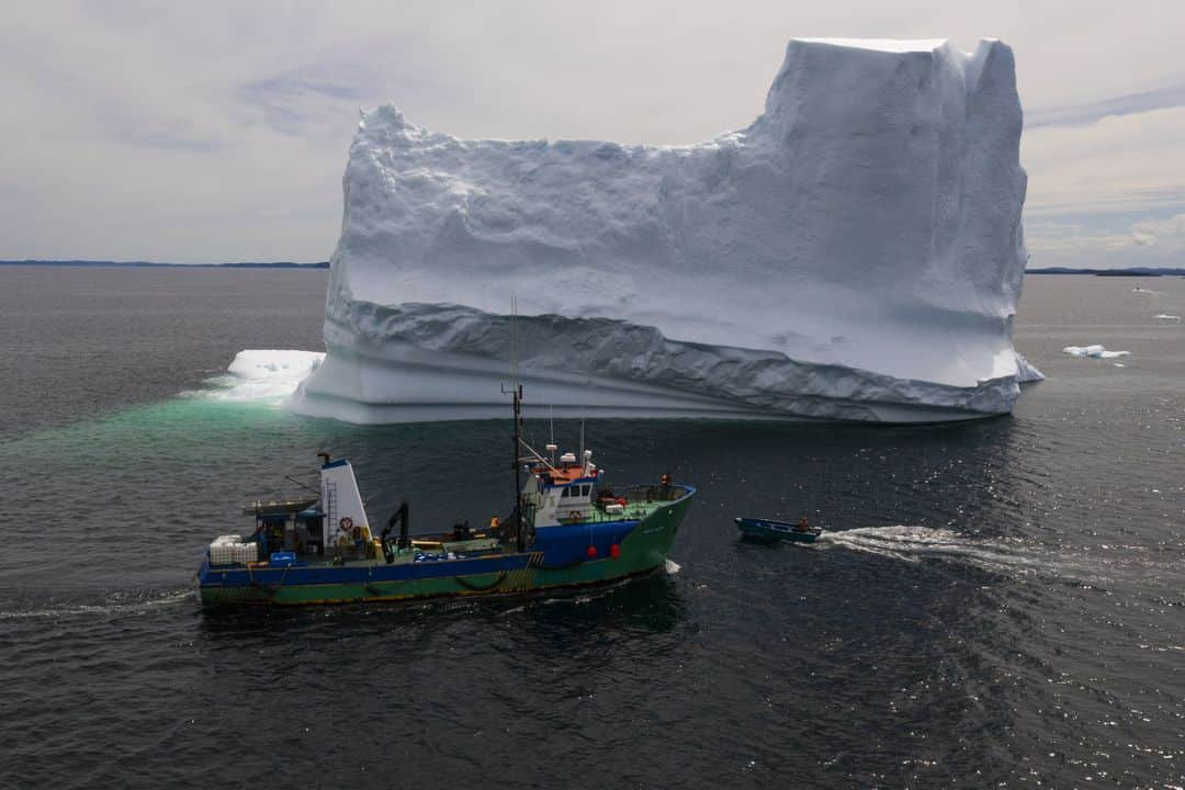 AFP通信さんのインスタグラム写真 - (AFP通信Instagram)「AFP Photo 📷 @johaynz - 'Iceberg Corridor' sparks tourist boom on Canada's east coast - . At dusk, tourists marvel at the sensational collapse of an iceberg at the end of its long journey from Greenland to Canada's east coast, which now has a front row seat to the melting of the Arctic's ice. . While the rest of the world nervously eyes the impact of global warming, the calving of Greenland's glaciers -- the breaking off of ice chunks from its edge -- has breathed new life into the remote coastal villages of Newfoundland and Labrador. . Once a hub of cod fishing, the province now plays host to hordes of amateur photographers and tourists hoping to capture the epic ice melt for posterity. As winter ends, iceberg spotting begins. . "It keeps getting better every year," says Barry Strickland, a 58-year-old former fisherman who now takes tourists in his small boat around King's Point in the north of the province. . "We've got 135, 140 tour buses with older people coming into the town every season so it's great for the economy." . For the past four years, Strickland has taken visitors to bear witness to the death throes of these ice giants, which can measure dozens of meters in height and weigh hundreds of thousands of tons. . Winds and ocean currents bring the icebergs from northwest Greenland, thousands of kilometers (miles) away, to Canada's shores. . In a matter of weeks, ice frozen for thousands of years can quickly melt into the ocean. . #Canada #environment #climate #climatechange #iceberg #icebergs #BonavistaBay」8月5日 15時14分 - afpphoto