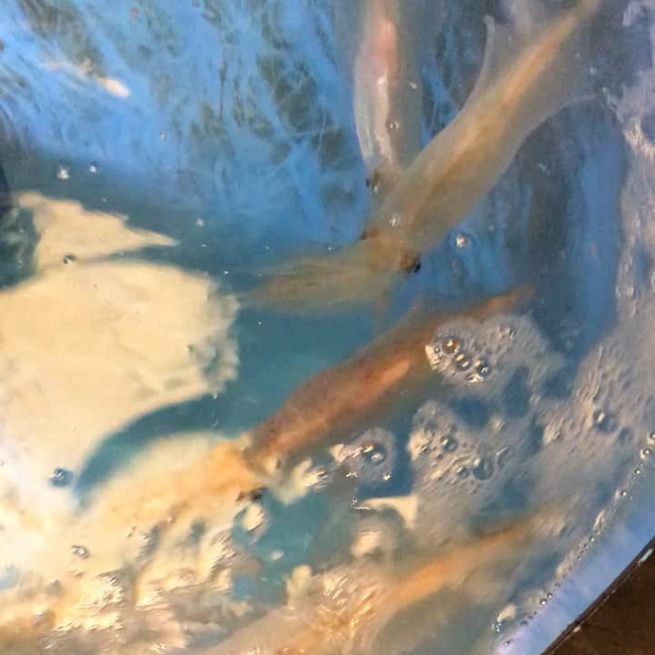 九州うまか　梅田店のグルメインスタ