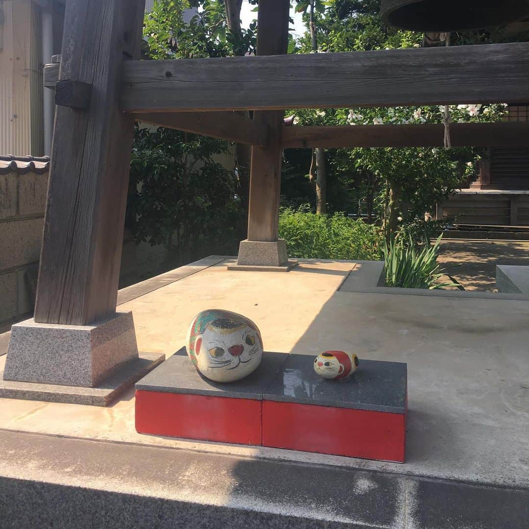 能町みね子さんのインスタグラム写真 - (能町みね子Instagram)「小松はなぜか猫の街」8月5日 15時37分 - nmcmnc