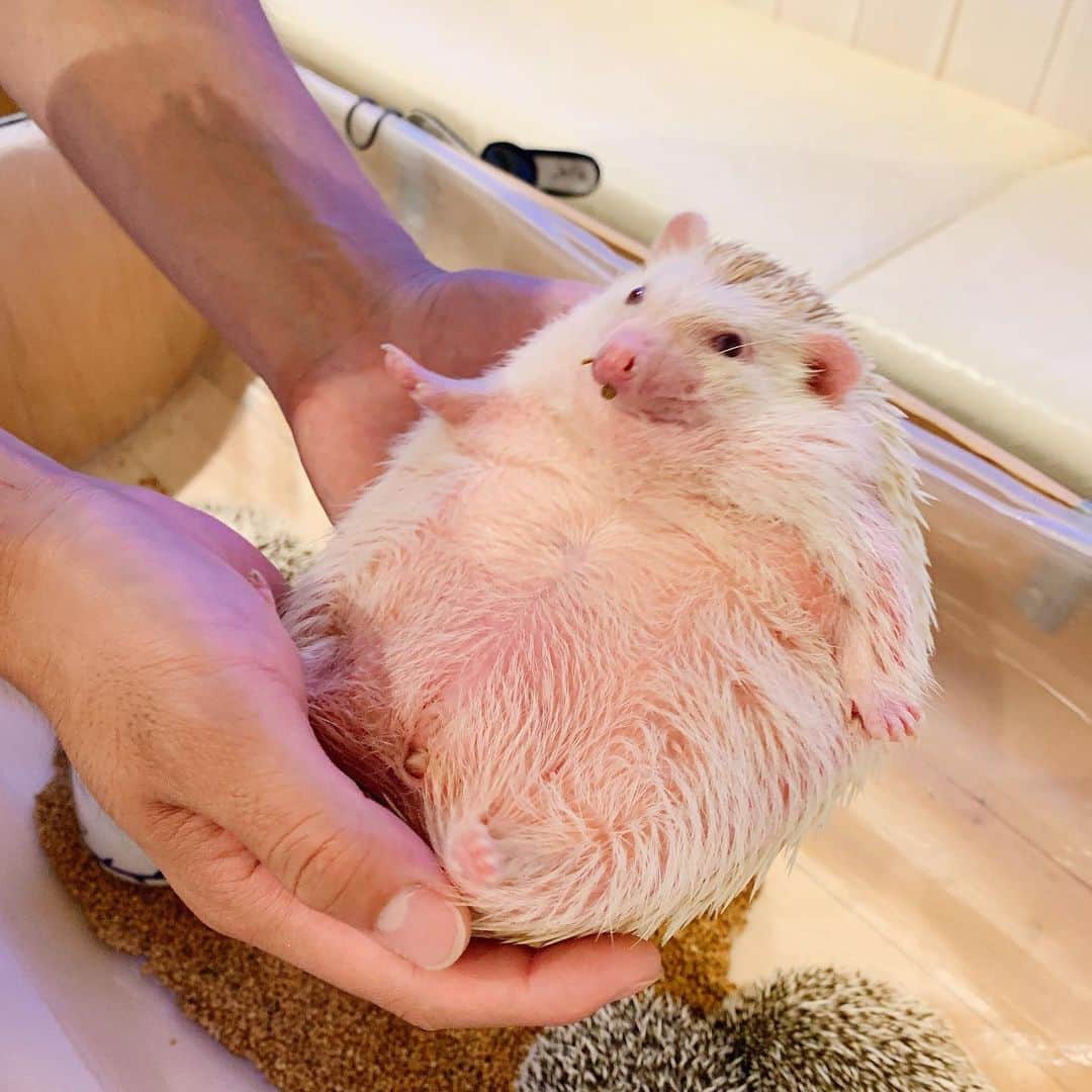 夢咲りおなのグルメインスタ