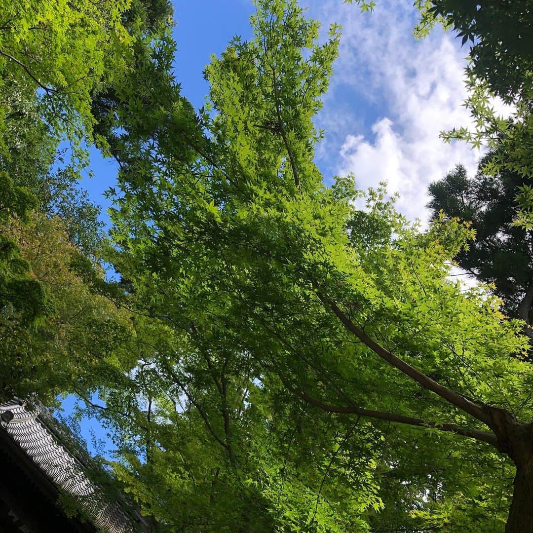 Hiroe Hiranoさんのインスタグラム写真 - (Hiroe HiranoInstagram)「晴れ日和🌞❤️最高な１日に。 北鎌倉へ🌳ここすごく好きだ☺️ なんていうかLAに初めて降り立った瞬間に、 ここ前にも来た事あるかもって思えた感覚と同じ気持ちに🌱 . 何かご縁があったのかなーぁ。 と早くも北鎌倉の魅力にハマってます。 葉山から近いし、訪れる事になりそう。 涼しくなったらハイキングコースもあるしお寺巡りしたい🌳 . 御朱印もいただきました⭐️ 北鎌倉の旅つづく、、、。 . #北鎌倉 #日本 #文化 #鎌倉 #hapan #japaneseculture #traditional #greenbluesky #wonderfulday」8月5日 16時20分 - hiroe_hirano