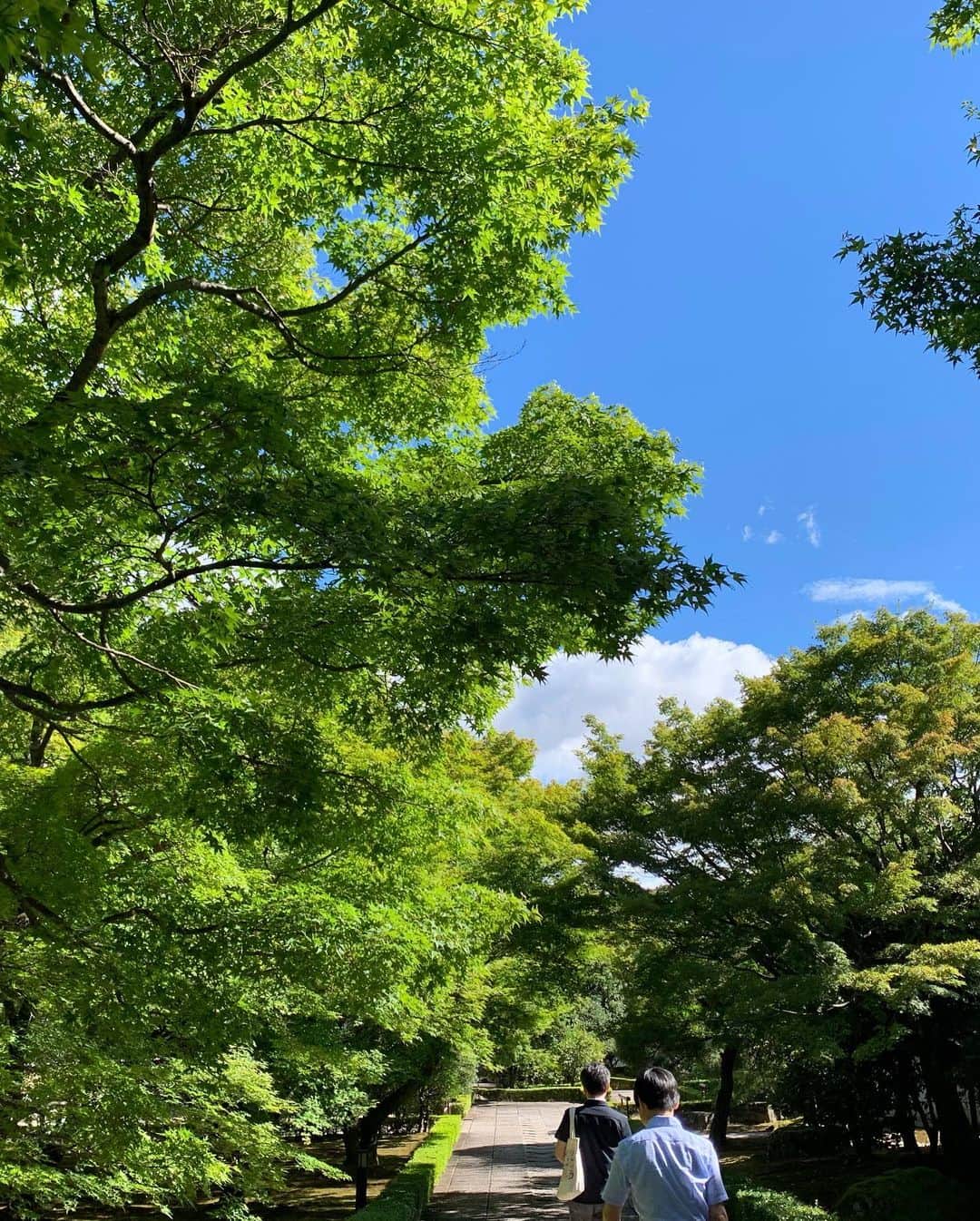 入江悠さんのインスタグラム写真 - (入江悠Instagram)「京都にいます。 いちおう仕事だけど、あまりの夏全開っぷりに頭が朦朧としてきちゃう。」8月5日 16時23分 - u_irie
