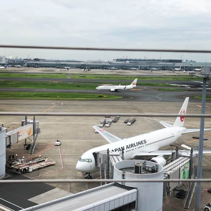 ドクターシーラボ公式のグルメインスタ