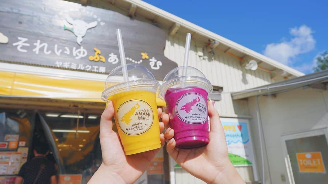 TaVisionのグルメインスタ