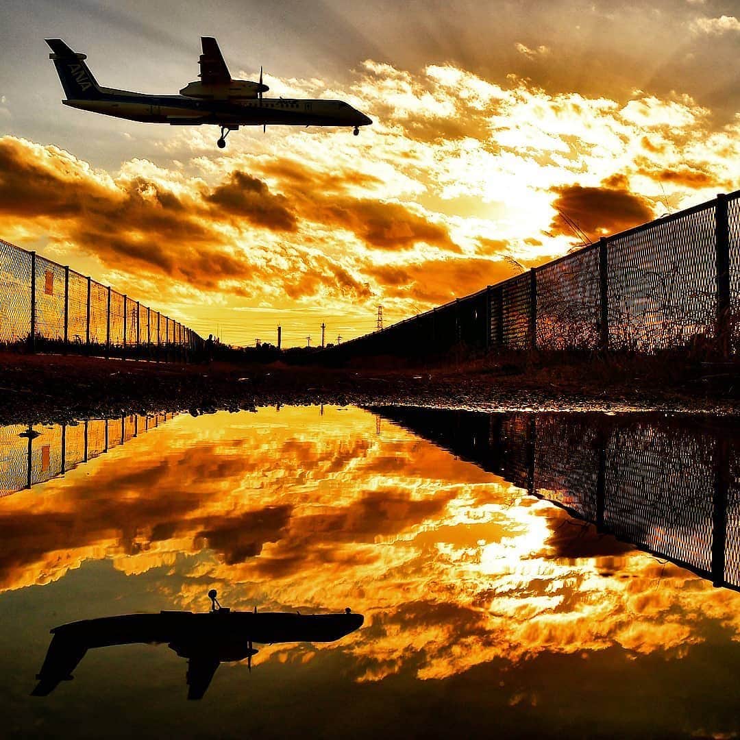 ANAのインスタグラム：「オレンジ色に染まる時✈ （Photo：@a.bashibashi）  #マジックアワー #夕焼け #リフレクション #グラデーション #後光 #大阪 #伊丹空港 #夕方 #夕景 #空 #雲 #飛行機の影 #飛行機 #ダレカニミセタイケシキ #ソラマニ_ヒコーキ #reflection #sunset #osaka #itamiairport #sky #clouds #airplaneshadow #airplane #anaairplane #ana_jp  ANAの飛行機は「#ソラマニ_ヒコーキ」をつけて投稿してね📷インスタやANAの各メディアでご紹介していきます🎶」