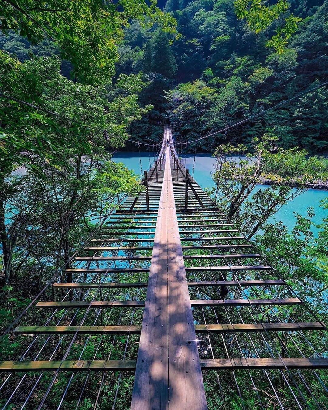 aumoさんのインスタグラム写真 - (aumoInstagram)「【#吊り橋 ×#夏休み 】 . 静岡県にある「#夢の吊り橋 」にて撮影されたお写真📸 .  ミルキーブルーの湖に架かる夢の吊り橋☁️ スリル満点ですが、抜群の絶景スポットです👀✨ 夏のおでかけにぜひ訪れてみては？ . Credit：@traveler_sui さん 素敵なお写真をありがとうございます！ . あなたが撮影した素敵な写真に 「#aumo」を付けて教えてください♡ あなたの投稿が明日紹介されるかも♪ . aumoアプリは毎日配信！おでかけや最新グルメなどaumo読者が気になる情報が満載♡ ダウンロードはプロフィールのURLから✔︎ (iPhone&Android版) . . #吊り橋#夢の吊り橋#夏の思い出 #橋 #インスタ映え #インスタ探検隊 #女子旅#絶景#絶景スポット #旅 #team_jp_ #igersjp #japan_daytime_view #wu_japan  #bestjapanpics #japan_of_insta #art_of_japan_ #ptk_japan #photo_jpn #lovers_nippon #tokyocameraclub #あなたとみたい景色#フォトジェニック #国内旅行 #夏旅」8月5日 17時43分 - aumo.jp