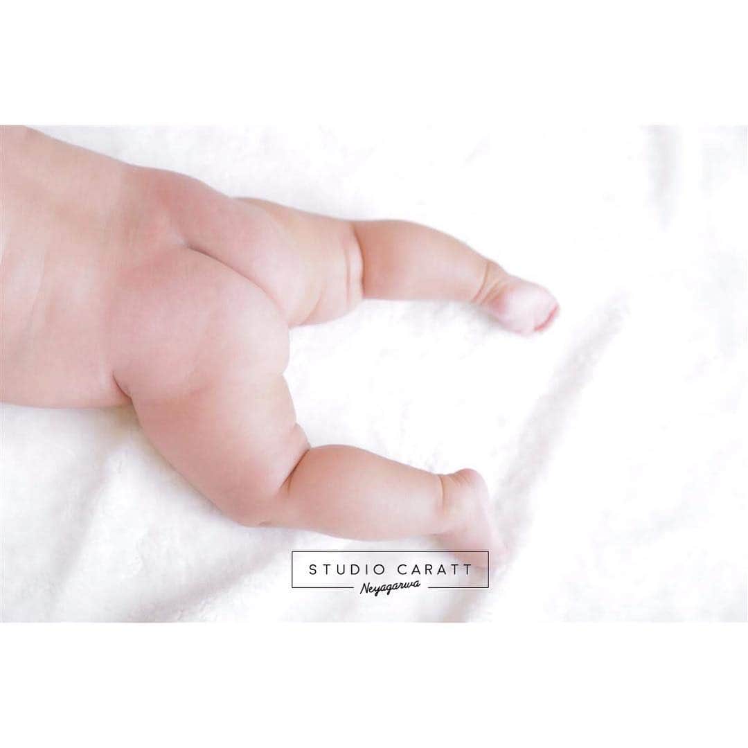 スタジオキャラット 寝屋川店のグルメインスタ