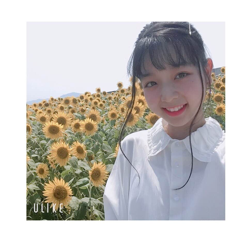 小林咲葵さんのインスタグラム写真 - (小林咲葵Instagram)「🌻﻿ ﻿ 今年も来ちゃった☀︎﻿ 向日葵ってすてき☻﻿ ﻿ 🌻🌻🌻﻿ ﻿ ﻿ #小林咲葵﻿ #ひまわり畑﻿ #向日葵﻿ #だいすき﻿ #花の海」8月5日 18時58分 - saki0819_k