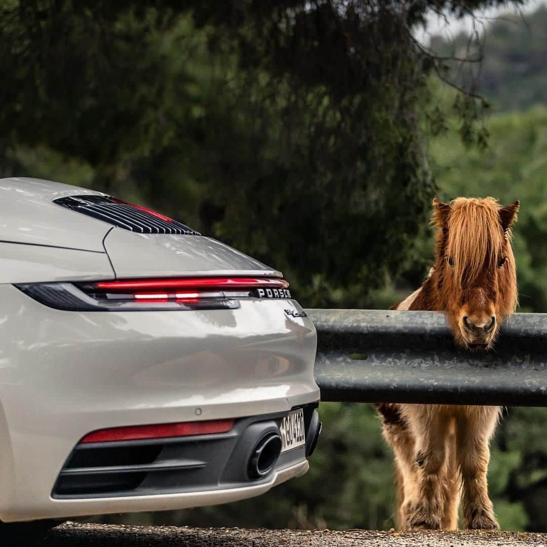 Porscheさんのインスタグラム写真 - (PorscheInstagram)「A Shetland and a wild stallion crossing paths. #PorscheMoment #911Carrera #992 #TimelessMachine (📷: @lahtiain) _ Combined fuel consumption in accordance with EU 6: 911 Carrera S: 8.9 l/100 km, CO2 emissions: 205 g/km」8月6日 4時30分 - porsche