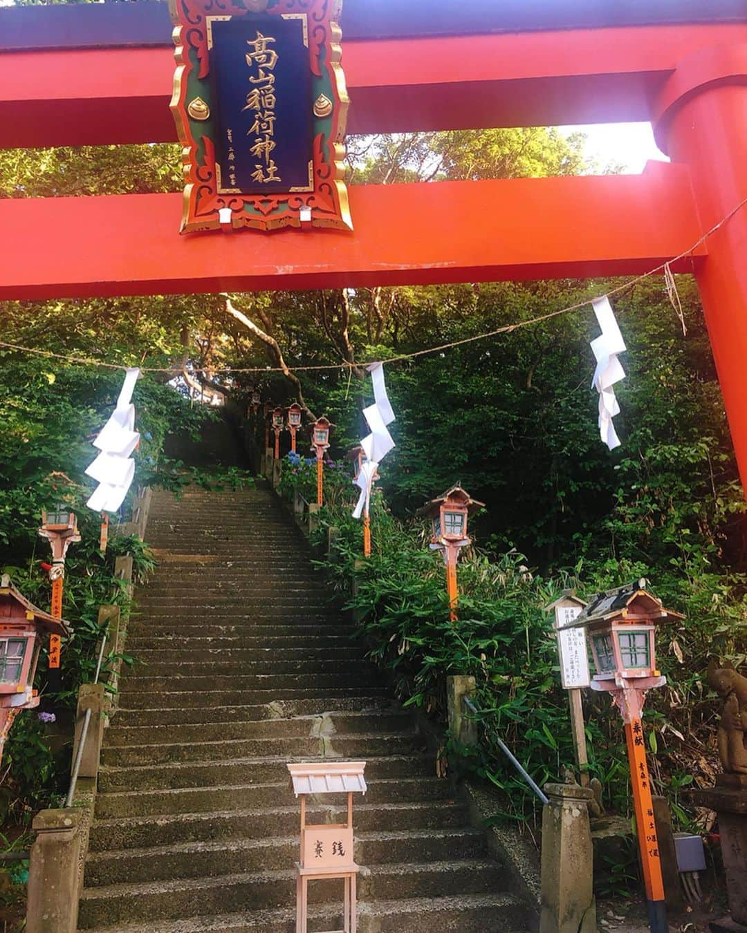 新矢皐月さんのインスタグラム写真 - (新矢皐月Instagram)「千本鳥居 ♡ ♡ ------------------------------- ⛩高山稲荷神社 青森県つがる市牛潟町鷲野沢147-1 -------------------------------- . . ずっと気になっていて やっていけた☺️ . 駐車場から すごい階段を登って、すぐにすごい階段を下るとたどり着きます！笑 . . パワースポットなだけあって パワーが舞ってそうだった✨ . . #高山稲荷神社 #千本鳥居 #青森観光 #青森旅行 #青森観光スポット #青森 #さつき青森 #国内旅行  #鳥居 #神社 #⛩ #jinja #japanesegirl #japantrip #japan_vacations #被写体」8月5日 20時59分 - araya_satsuki