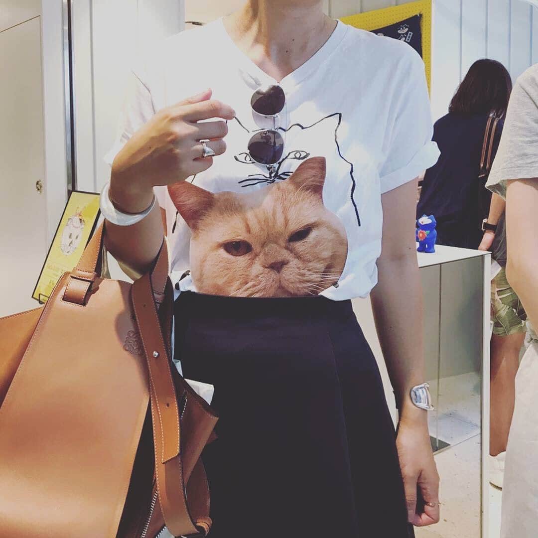 濱中鮎子のインスタグラム：「2年前も相変わらずの猫おばさんでした。笑  #2年前のcatsissue  #猫で拡がる輪😂  #チャイにぃ」