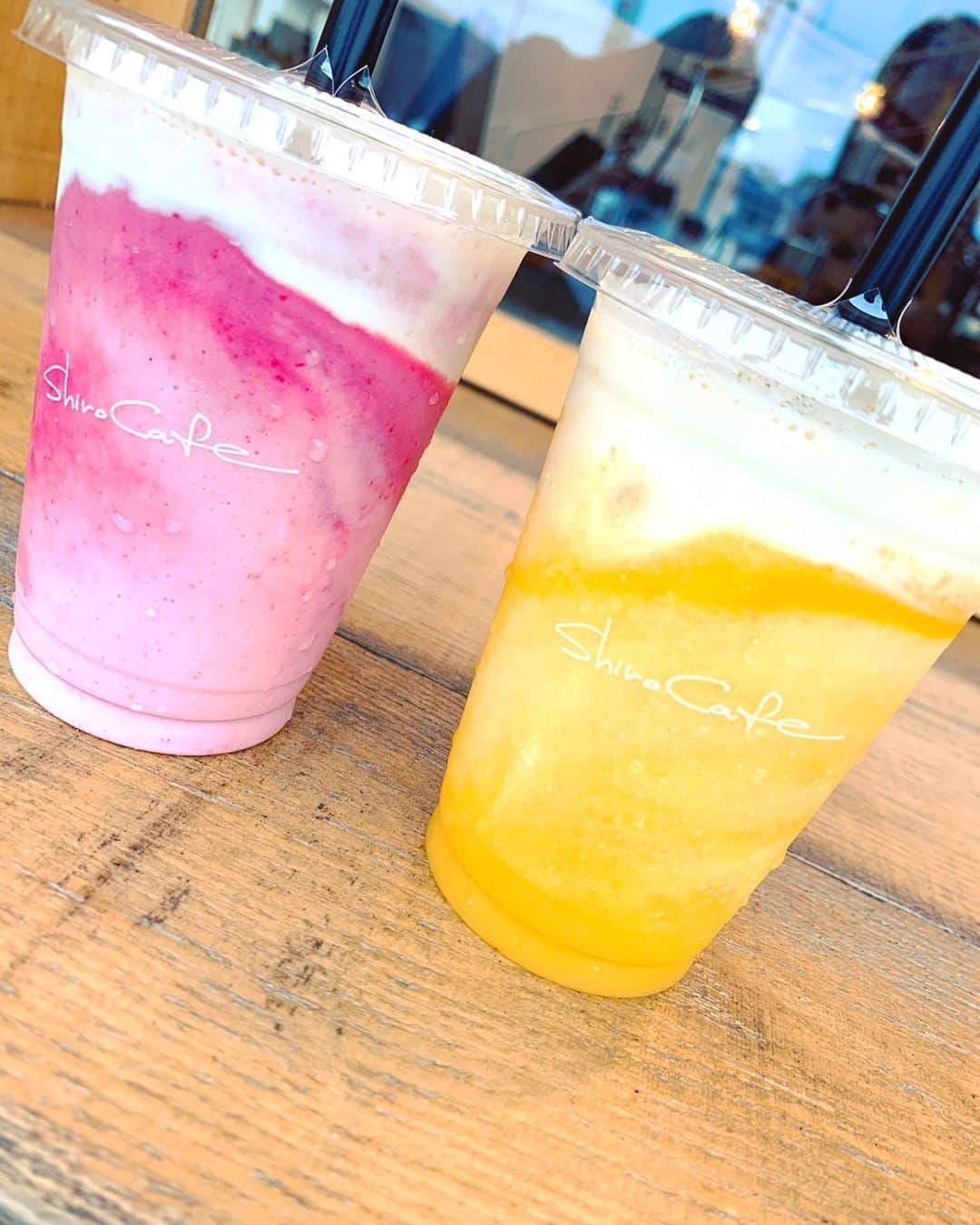 東李苑のグルメインスタ