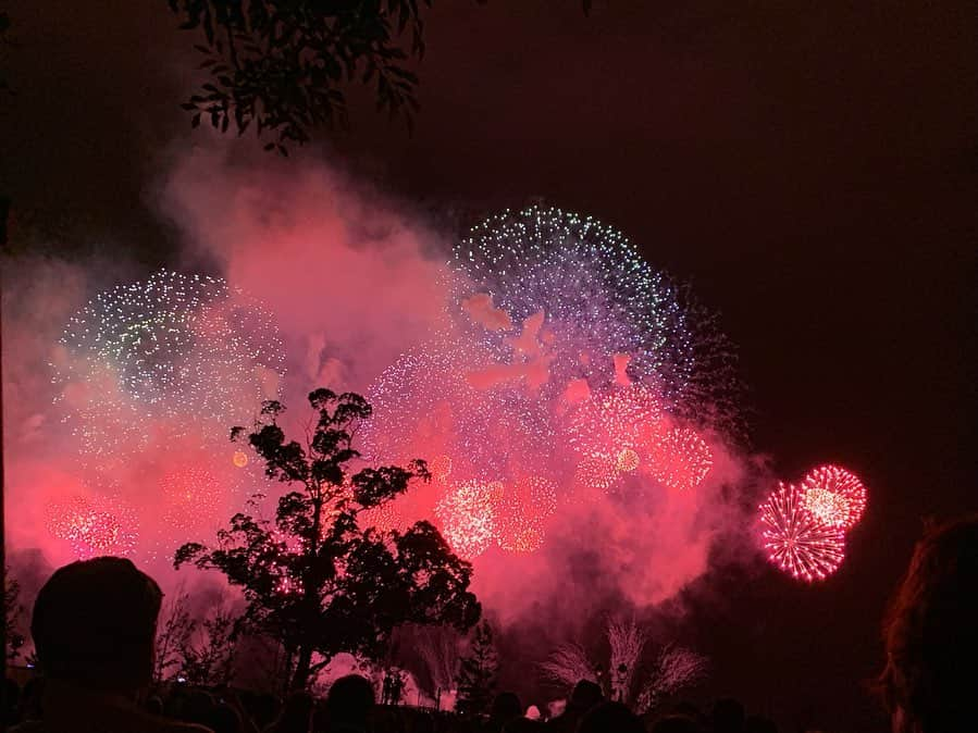 八軒あやねさんのインスタグラム写真 - (八軒あやねInstagram)「みなと神戸海上花火大会🎆🚢⚓️ やっぱり神戸の綺麗やなぁと😊✨ 屋台全然なかったからコンビニで冷やしきゅうり買って割り箸に刺すっていう裏技。 ライオンキングに洗脳されてる私たちは、ラストスパートの金色の花火が上がり出したらムファサ！！！ムファサ！！！ハクナマタタ！！！！と叫んでいました。 . . . #みなと神戸海上花火大会 #みなと神戸花火大会 #花火大会 #花火 #祭り #冷やしきゅうり #夏」8月5日 21時19分 - ayagram_8_