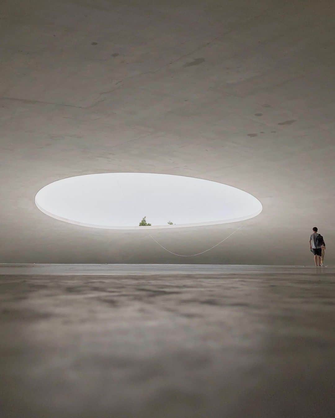 ima_ju / Jun Iのインスタグラム：「. . Large Oval . . wiz @tokyo_grapher #ShotOn_TG  #ShotoniPhone . ZD WIDE Lens PRO #tg_zdwide_pro . . ::」