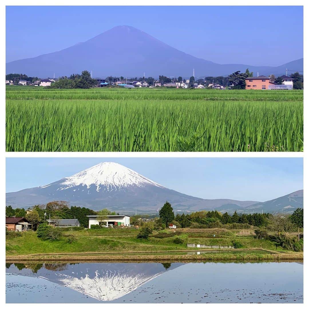 Saschaさんのインスタグラム写真 - (SaschaInstagram)「Mt. Fuji  August and May 2019」8月5日 21時47分 - sascha348
