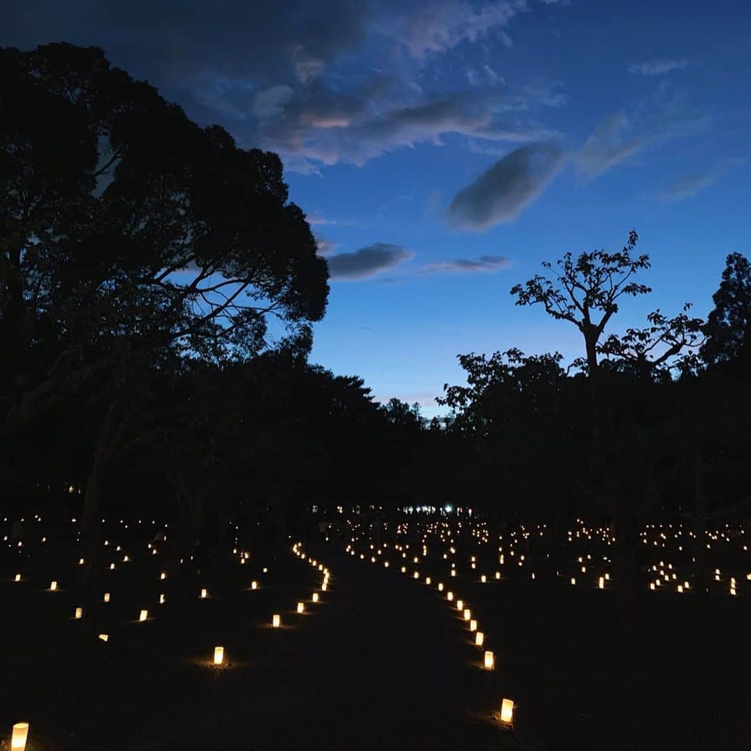 karen okajimaさんのインスタグラム写真 - (karen okajimaInstagram)「ㅤㅤㅤ ㅤㅤㅤ 本日から始まった『なら燈花会』さんへ 早速行ってきたよ〜〜っ🦌❤️ ㅤㅤㅤ  もう21年になるみたいで奈良公園を 明るくしようということから始まった 素敵なイベントで奈良の夏の夜の 風物詩となってます🙆‍♀️✨ ㅤㅤㅤ  毎晩約２万本のろうそくの灯りが ８つの会場を彩ります✨ 自分で灯すことも出来るみたいですよ🔥 (500円かかります。) ㅤㅤㅤ  私が好きだなと思ったスポットは浮見堂。 お堂が素敵でお堂から橋にかけて 灯りが綺麗にかかるので写真も 綺麗にとれるし素敵なの🥺  14日までなので皆様ぜひ行くべし💓 ※浮見堂のお堂の中には通常入れませんが、 特別に許可を得て写真を撮っています。 ㅤㅤㅤ  2019年8月5日(月) ～ 2019年8月14日(水) ㅤㅤㅤ （点灯時間 19:00～21:45 ※天候などにより中止になる場合がございます。） ㅤㅤㅤ  開催場所 奈良公園一帯（春日野園地、浮見堂と鷺池、猿沢池と五十二段、浅茅ヶ原、奈良国立博物館、興福寺、奈良春日野国際フォーラム甍～I・RA・KA～、浮雲園地）  #なら燈花会 #風景写真 #奈良観光 #奈良旅行 #浮見堂 #奈良公園  #奈良春日野国際フォーラム甍 #岡島かれん」8月5日 22時08分 - karenokajima0318