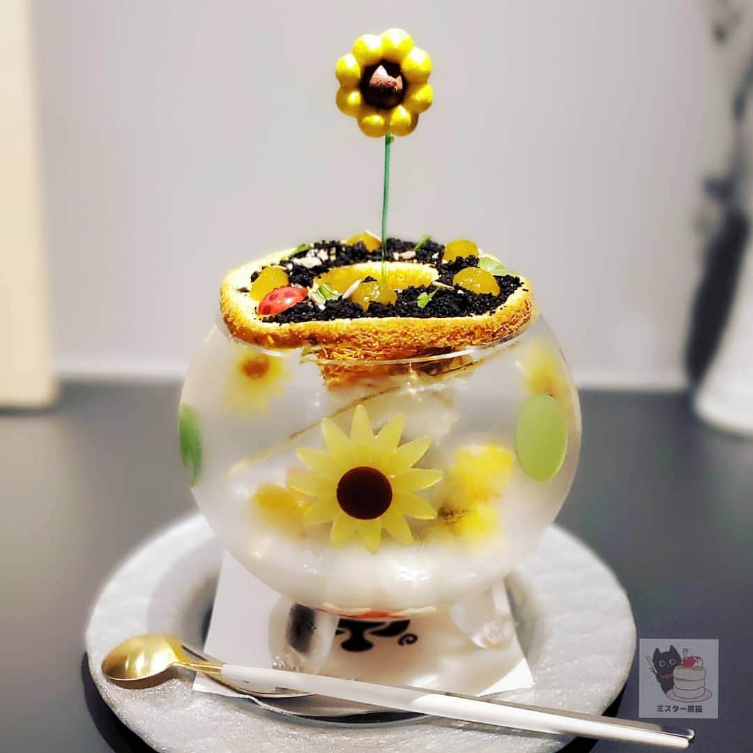 ミスター黒猫（黒猫仙人）のグルメインスタ