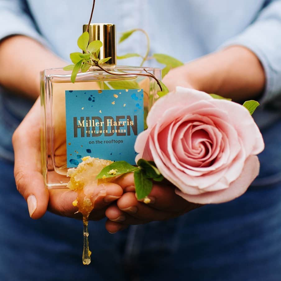 早坂香須子さんのインスタグラム写真 - (早坂香須子Instagram)「香りは直感に繋がるツール  ミラーハリスのトークイベントを終え、その想いを強くしました。  イベントを記念して、この夏、私が重ね付けしたい2つの香水を紹介させて頂いてます。  ひとつめのヒドゥンは、調香師が食材を探すようにロンドンの街をハントし、庭園の草花とフルーツ、木々の深みに蜂蜜と花粉が香る。 暖かな光の中、好きな人たちと公園で幸せな午後を過ごした時のような、きゅんとした気持ちになる。  ふたつめは ルミエール ドーレ 太陽と輝く光をイメージしたこの香水は、 トップにはシトラス、 ハートにはネロリやジャスミン、 ベースはベチバーやホワイトムスク 複雑なブレンドでありながら、さぁっとその場を明るく照らすようなポジティブな人。そんな印象を与える香りだ。  ヒドゥンを左手首の内側に ルミエール ドーレを反対につける。  手首を擦り合わせて交わったエネルギーは、ポジティブな光のオーラの中に、官能的でありながら、ユニセックスなスパイスを感じる香りになる。  肌の上で完成させるという、ミラーハリスの香水の魅力を存分に感じられる組み合わせ。（人の肌によっても香りの印象が変わるので、ぜひ試してみてください）  8月25日まで、ポップアップの会場であるGINZA SIX 4階にて、 ヒドゥン５０m lのお値段に、 ルミエール ドーレの9mlボトルと、ヒドゥンと同じFORAGEシリーズ3つのサンプルを無料でお付けしたスペシャルセットを発売中です。  #暑い中来てくださったみなさま#本当にありがとうございました #millerharris #ミラーハリス #香りと音のドーム体感中 #ginzasix @millerharris.jp @millerharris  @ginzasix_official」8月5日 22時26分 - kazukovalentine
