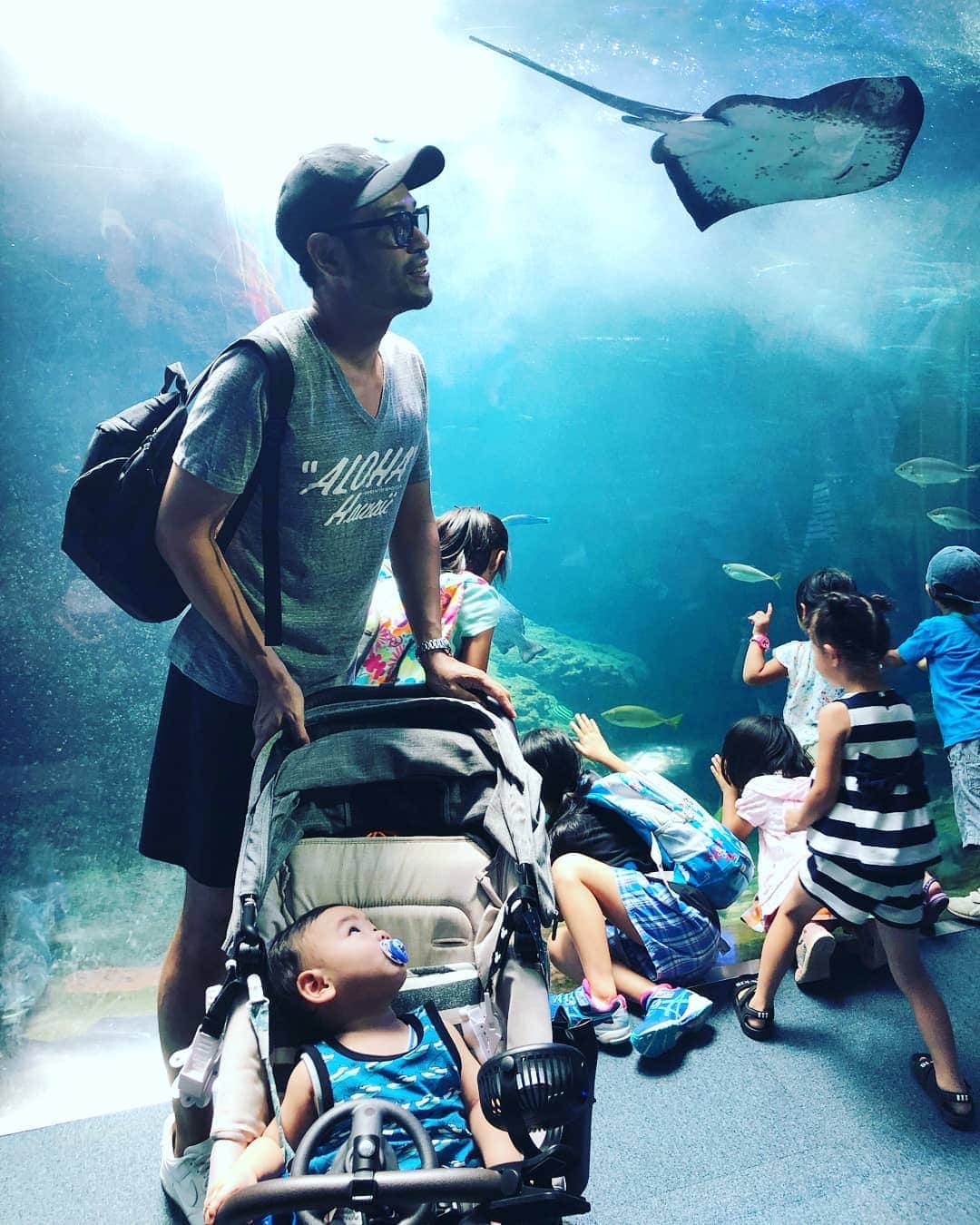 のインスタグラム：「コニッチロー初めての水族館🐬  夏休みなので子供達で溢れていました😊  コニッチローも何かを感じてくれたかなー  夏の思い出🍧  #新江ノ島水族館 #水族館 #水族館デビュー #コニッチロー #チッチロー #ニッチロー’ #baby #aquarium」