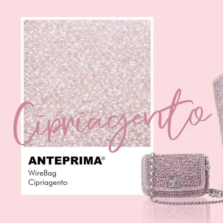 ANTEPRIMAのインスタグラム