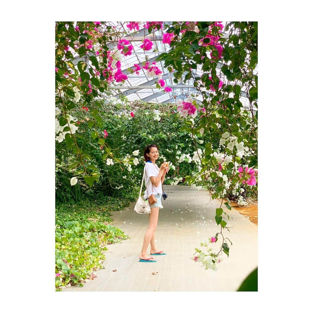 落合恭子のインスタグラム：「🌴 ZAKOSHI Sacoche . #ootd #bag #サコッシュ #summer #bloom #hollywoodzakoshisyoh」